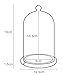 Lights4fun, Inc. Glass Cloche Bell Jar Display Dome with Bamboo Base - 8