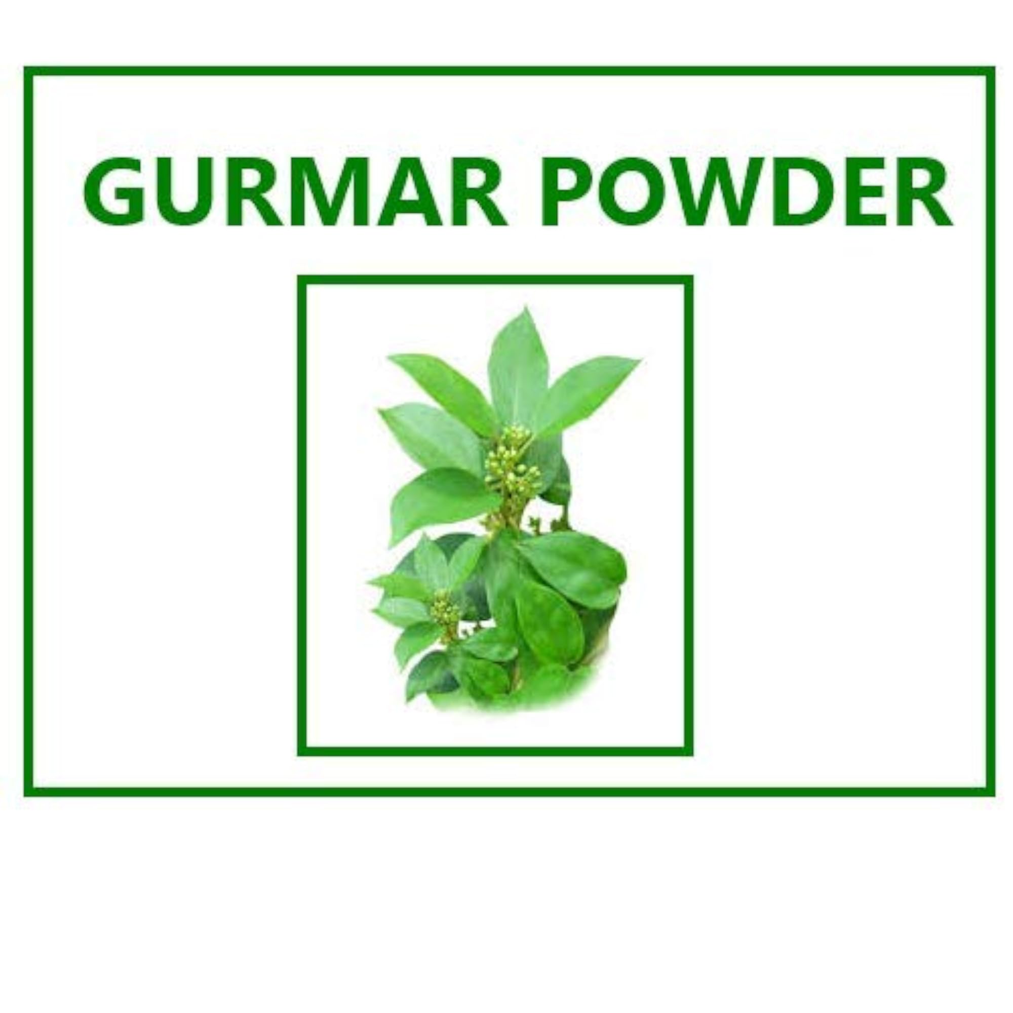 Greeneland Himalaya Gurmar Powder, Natural Health Supplement
