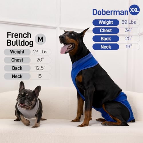 BRKURLEG Female Dog Diapers with Suspender, Washable & Reusable Fixed Diapers for Dogs in Heat, Incontinence & Special Needs, Adjustable Doggie Diaper for Small Medium Large Dogs, Grey L by BRKURLEG - Image 8