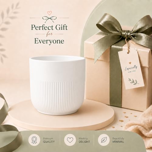 Image of Xtore Studio Ceramic Ribbed Planter | Round Decorative Flower Pot for Home, Bedroom & Living Room Decor - (White, 1 Piece, Planter ONLY)