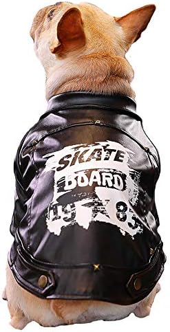 dog leather jacket amazon
