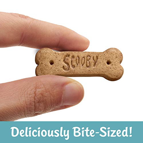 Kellogg's Scooby-Doo! Graham Cracker Snacks, Cinnamon, Made with Whole Grain 1 oz Bag (40 Bags)