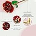 Gold Dipped Rose 24k Red Gold Plated Rose - Everlasting Long Stem Real Rose Exquisite Holder, Romantic Gift for Valentine's and Mother's Day, Gfts for Her Anniversary