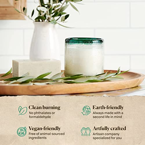 Paddywax Candles La Playa Collection Scented Candle, 9-Ounce, Cactus Flower Bamboo #TOP2