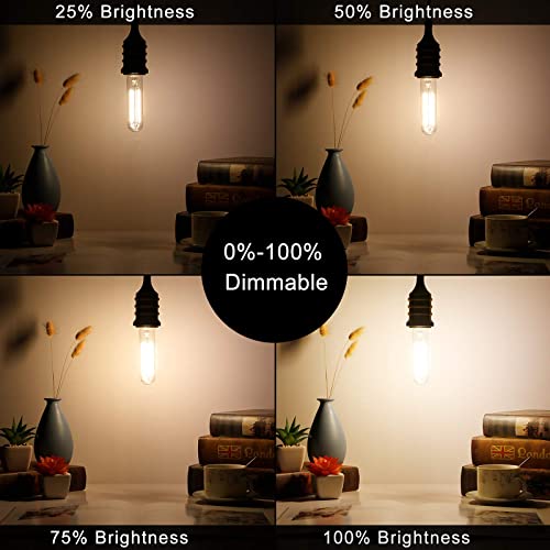 Litehistory Dimmable E26 Edison Bulb 6W Equal 60 Watt Light Bulb Ac120V Warm White 2700K Edison Light Bulbs 60 Watt 600Lm Tubular T10 Led Bulb For Rustic Pendant,Chandeliers,Wall Sconces,Vanity 6Pack #TOP3