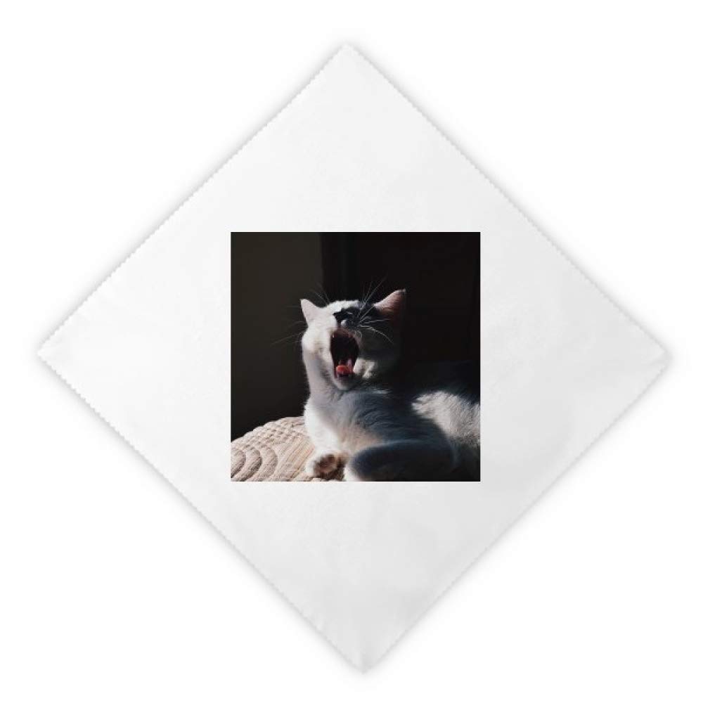 Servilletas de tela absorbentes y lavables con original estampado de gato