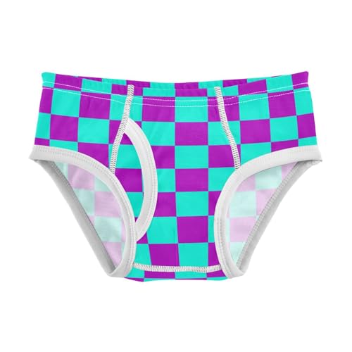 Teal and Purple Buffalo Checkered Toddler Boy's Underwear 2T