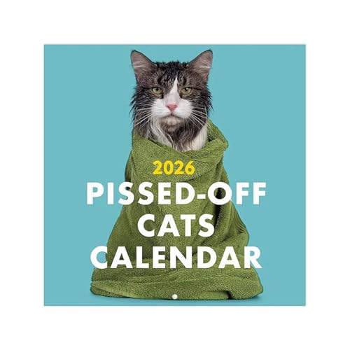 2026 Pissed-Off Cats J_[ | ʔ}X[y[p[vi[ ǔLJ_[ | Angry Kitten Wallcalendar 2026 }X[vi[ | 12̃LbgJ_[ Q  rO[