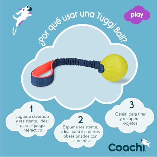 Coachi Tuggi Ball, Robustes Design, leicht, sicher, dehnbarer Bungee-Griff, ideal für alle Hunde & Welpen, Belohnungstraining, Rückruftraining, Unterbinden von Beißen & Kauen. Ideal für Agility.