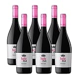 Aliaga Helena Syrah Syrah 2019 (pack 6 botellas). Vino tinto 100% Syrah de Navarra de la Bodega Viña Aliaga