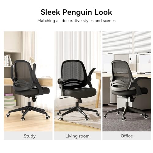 Hbada HDNY155BM/IN Office Chair, Desk Chair thumb #4