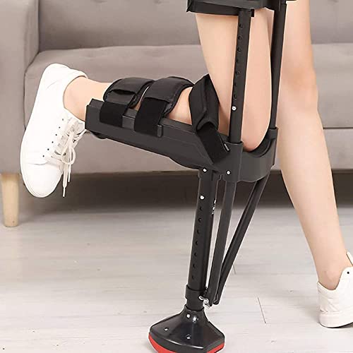 nYt[tAs⏕Aɂ݂̂ȂGtArAG̉T|[gAQAҁAA̍