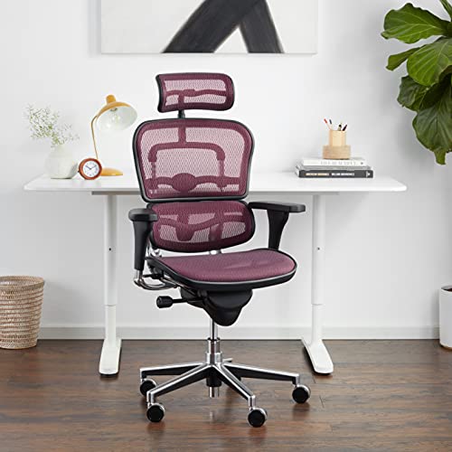 Image of Ergohuman Eurotech Seating High Back Mesh Managers Chair, Plum Red