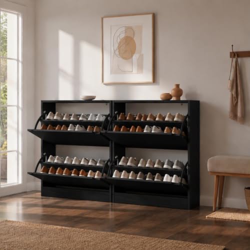 CYOBABA Black Shoe Cabinet, 2 Flip Drawers（2-Pack）, Hidden Design, 31.5" W