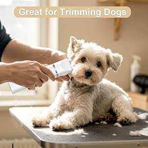 Dog Clippers Grooming Kit 4 in 1 Cordless Dog Hair Trimmer Pet Grooming Kit Low Noise Waterproof and Washable Rechargeable Pet Trimmer Set for Small Dogs Cats Paws Ears Face Rump