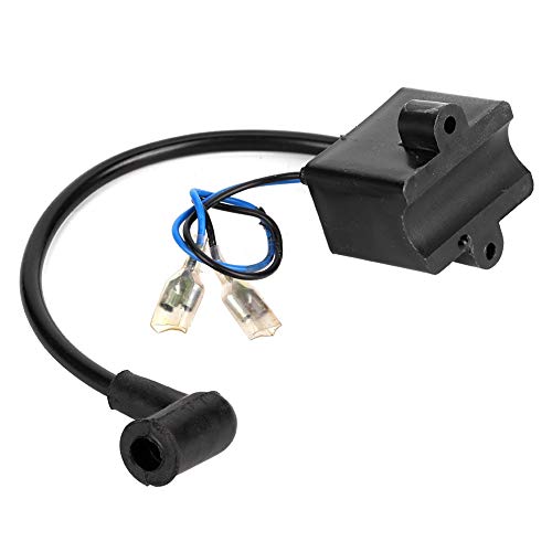 Review de Bicimoto 80cc los mejores 10. 16 Imagen adicional