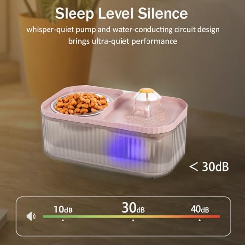 Marchul Cat Water Fountain and Stainless Steel Food — top-down angle highlighting key features