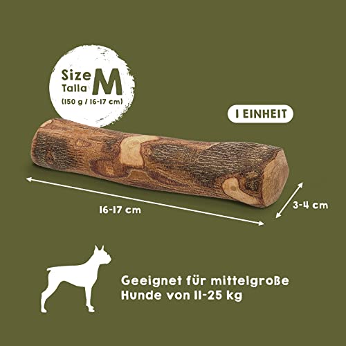 MAIKAI Kauholz für Hunde aus Olivenholz M – Kauknochen, Unzerstörbar – Hundespielzeug und Kauartikel – Ideal als Welpenspielzeug – Einzelpackung