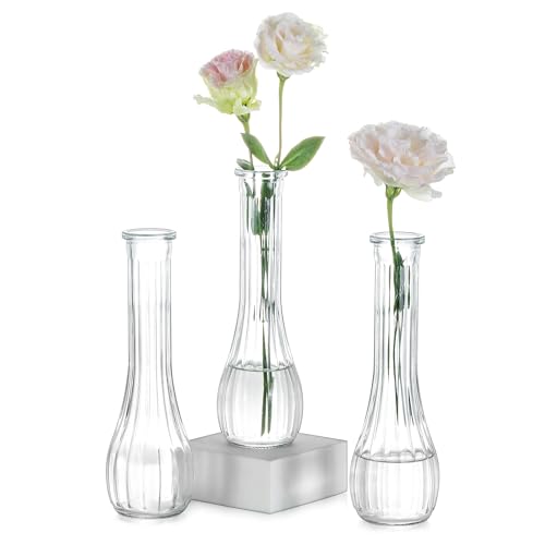 NUPTIO Petit Vase en Verre pour Fleur: 3 Pièces 21,7cm Grand Soliflore Transparent Vases Decoratif pour Centre de Table Mariage Fête Interieur Maison Deco