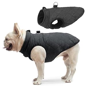 SCENEREAL Winter Dog Vest Coat with Harness Built in, Warm Dog Jacket for Small Medium Dogs, Dog Cold Weather Coats with Zipper, Fleece Puffer Vest Windproof Snow Clothes for Puppy Pet