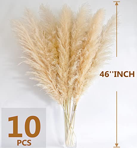 Image of 46 inch inch 10 Stems Natural Pampas Grass Decor Tall, Pompas Grass, Tall Pampas Grass for Weddingm, Farmhouse, Boho Home Decor (Ivory)