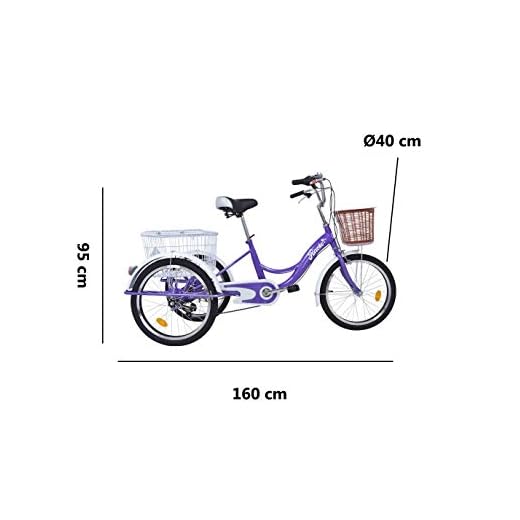 Riscko Triciclo Adulto con Dos Cestas Bep-14 Negro Sin Montaje 32 kg