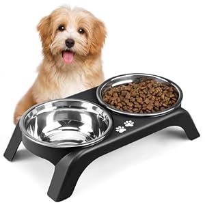 Elevated Cat Bowls – Anti-Vomiting Raised Cat Bowl Stand with 2 Thick Stainless Steel Cat Bowls Non-Slip for Small Medium Indoor Cats & Puppies, Dishwasher Safe, Black