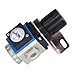 Air Compressors Pressure Regulator, Aluminum Alloy Mini Pressures Regulators Kit Small Drift Balanced Design for Industry GR200-08