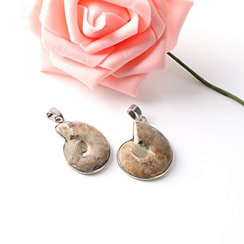 Pendentif en ammonite naturelle argenté : bijou d'exception unique
