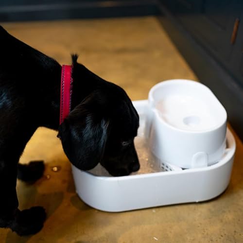 Dog Mate DM00385 Large Pet Fountain For Dogs And Cats thumb #4