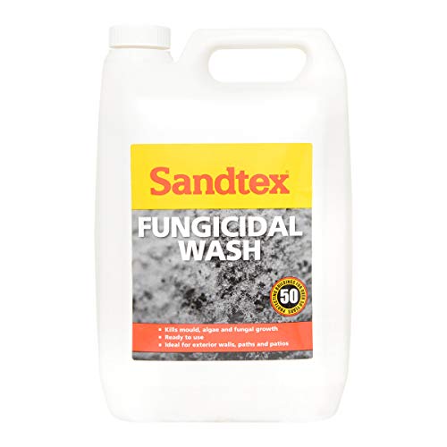 Sandtex Fungicidal Wash