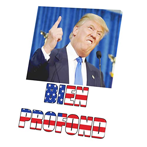 Tableau Donald Trump président USA toile imprimée 60x85cm