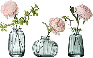 Glass Bud Vase Set of 3, Decorative Small Vase for Table Living Room Bedroom Home Office Kitchen Decor Green
