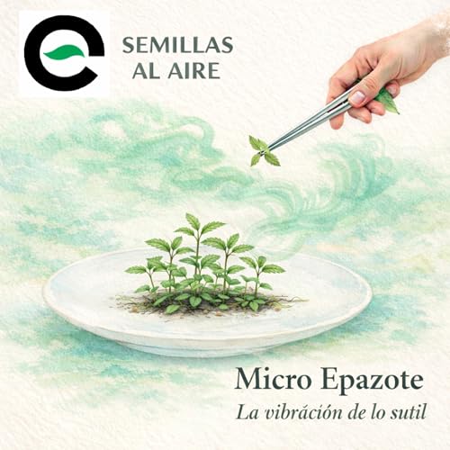 Micro Epazote - La vibracion de lo sutil.