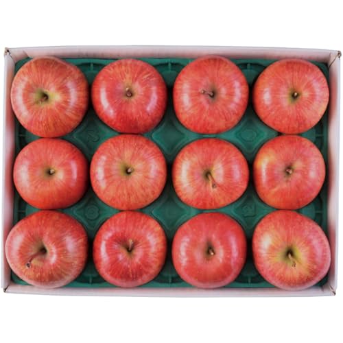 Ε Ε 2025 AΕ Mtg v[g JAOO Tӂ񂲁iW[j ̂ 