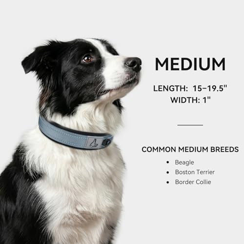 Image of Joytale Dog Collar for Medium Dogs, Neoprene Padded and Adjustable, Reflective Wide Heavy Duty Pet Collars with Durable Metal Belt Buckle for Walking, Gray, M