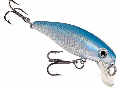 Dynamic Lures Trout Fishing Lure | Multiple BB Chamber Inside | (2) - Size 10 Treble Hooks | for Bass, Trout, Walleye, Carp | Count 1 | (Silver/Blue, HD Trout 2.25 Inch)