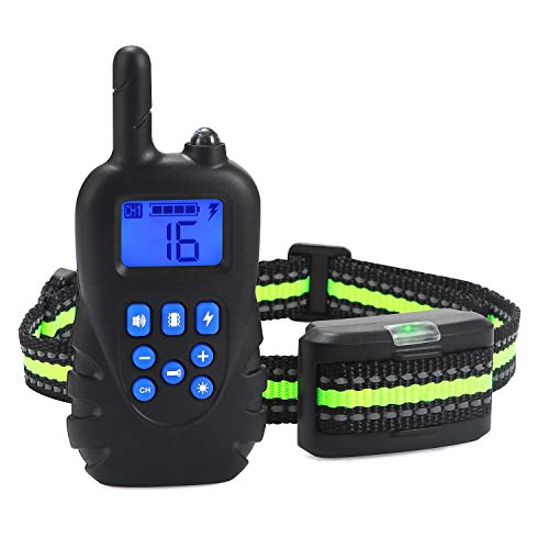 MAXBROTHERS Collier de Chien -8 Cover