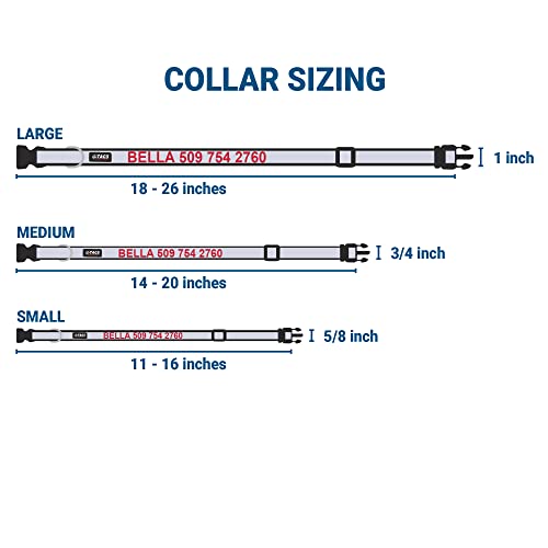 Gotags Reflective Personalized Dog Collar, Custom Embroidered With Pet Name And Phone Number In Black For Boy And Girl Dogs, Adjustable Small #TOP5