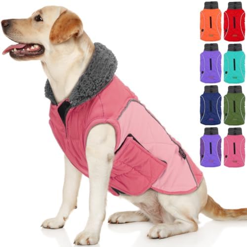 EMUST Winter Dog Coats, Fleece Dog Apparel for Cold Weather, British Style Windproof Warm Dog Jacket for Small Dog Coats for Winter, Green, XS
