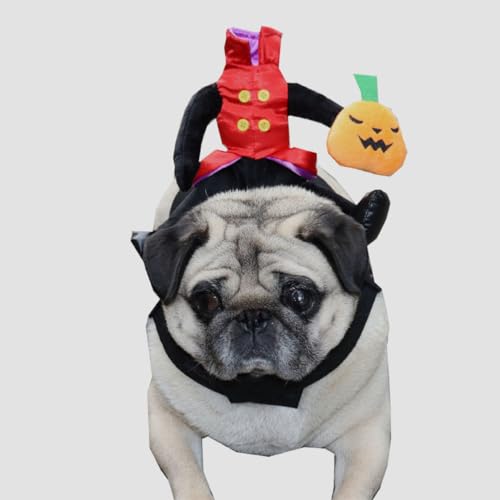 Disfraz Halloween para Perros Diseño Calabaza BESPORTBLE miniatura 7