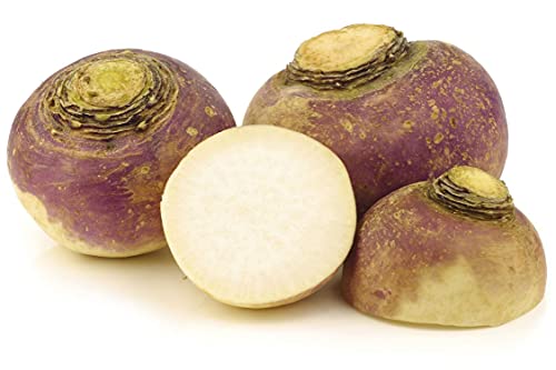 50 Semi di Rutabaga - coltivazione di ortaggi antichi - semi di agricoltura contadina riproducibili - Semisauvage