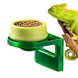 Crested Gecko Food Dish - Detachable Adhesive Terrarium Tank Accessories,Reptile Food Bowls,for Chameleon Lizard Small Pet Amphibian Iguanas Anoles