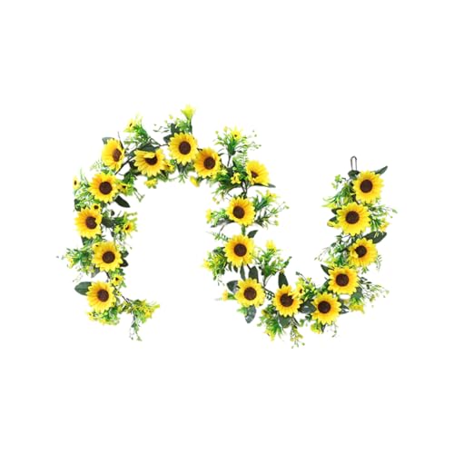 TOYANDONA lHЂ܂蓡Ǌ| V~[Vt[Xgbv tČp[eB[⌋pCeAANZg