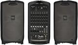 Fender Passport Venue Series 2