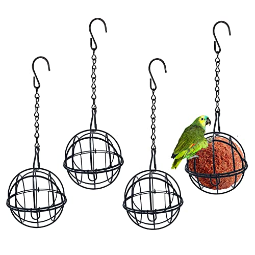 Ksvaye 4 Stück Maisenknödelhalterung Metall Meisenknödelhalter zum Aufhängen Meisenknödel Halterung Vogelfutterstation Meisenknödel-Halter für Garten Wildvögel Finken Spatzen Rotkehlchen (Schwarz) Ksvaye 4 Stück Maisenknödelhalterung Metall Meisenknödelhalter zum Aufhängen Meisenknödel Halterung Vogelfutterstation Meisenknödel-Halter für Garten Wildvögel Finken Spatzen Rotkehlchen (Schwarz)