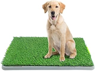 PAWISE Pet Park Deluxe Trainer Indoor Dog Toilet,Dog tray Puppy training pad, Dog Puppy Potty Pee Pad with Artificial Grass and Drawer Portable Dog Training Mat45X70CM (Standard)