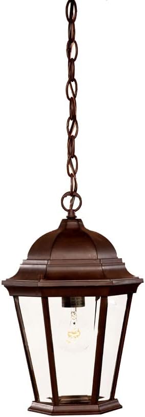 Acclaim 5056TW Chateau Collection 1-Light Outdoor Light Fixture Hanging Lantern, Textured White