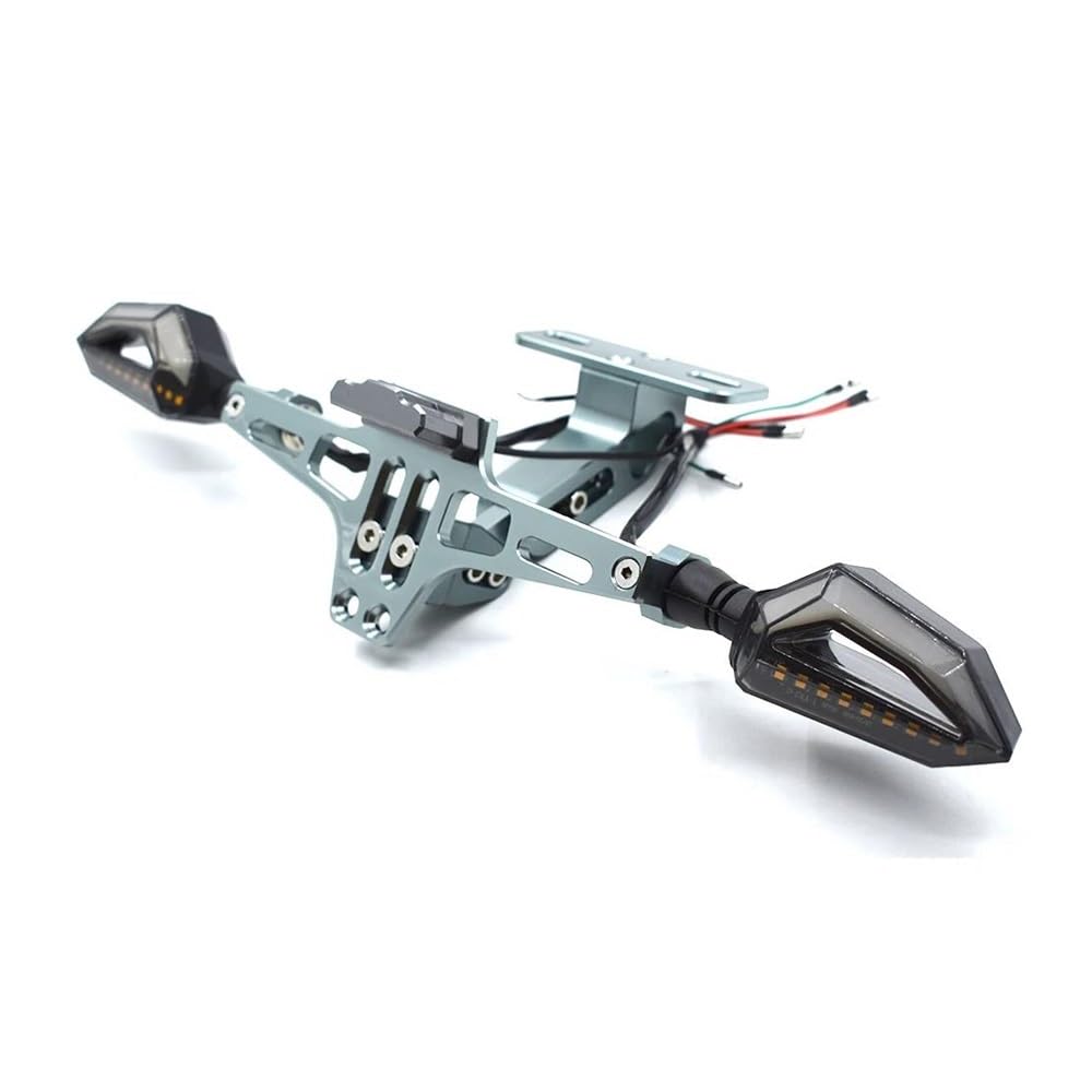 DDGBERFP Motorcycle License Plate Bracket CNC Aluminum Alloy With Light For R1200R R1200GS F800GS F650GS F700GS F800R G450X G650 G310R(Titanium)