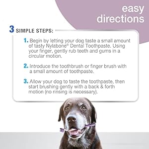 Nylabone Advanced Oral Care Senior Dog Dental Kit Bacon Flavor Small Nylabone Advanced Oral Care Senior Dog Dental Kit Bacon Flavor Small